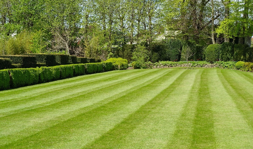 Lawn Care
