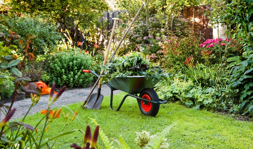 Yard Clean-Up